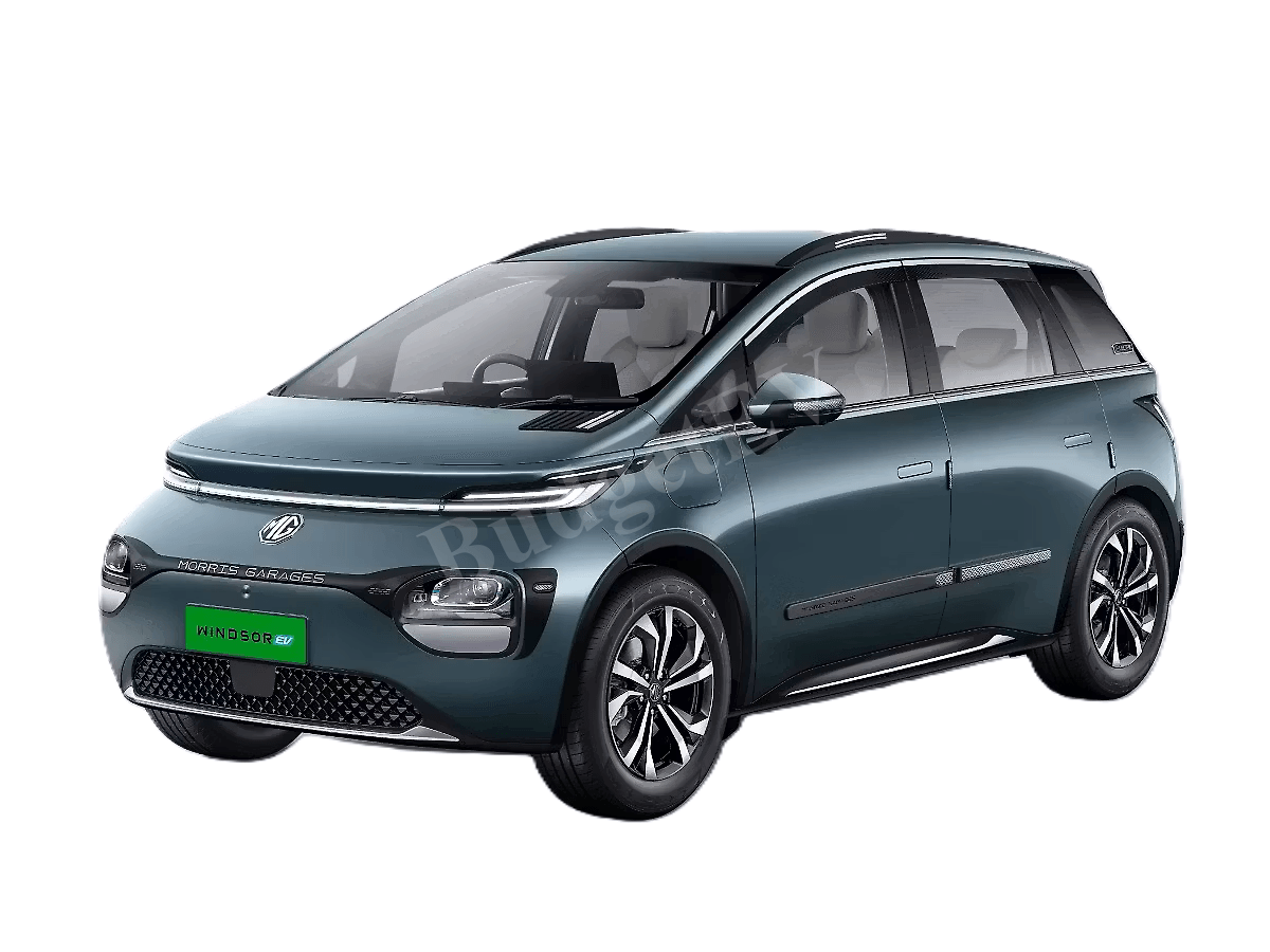 Windsor EV Pro